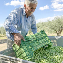 画像をギャラリービューアに読み込む, 【出荷日11月中旬予定】<予約販売>岩塩(オレガノ入り)90g&シチリア産オリーブオイルセット<限定販売>