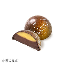 画像をギャラリービューアに読み込む, プレミアムチョコレート 10個入り