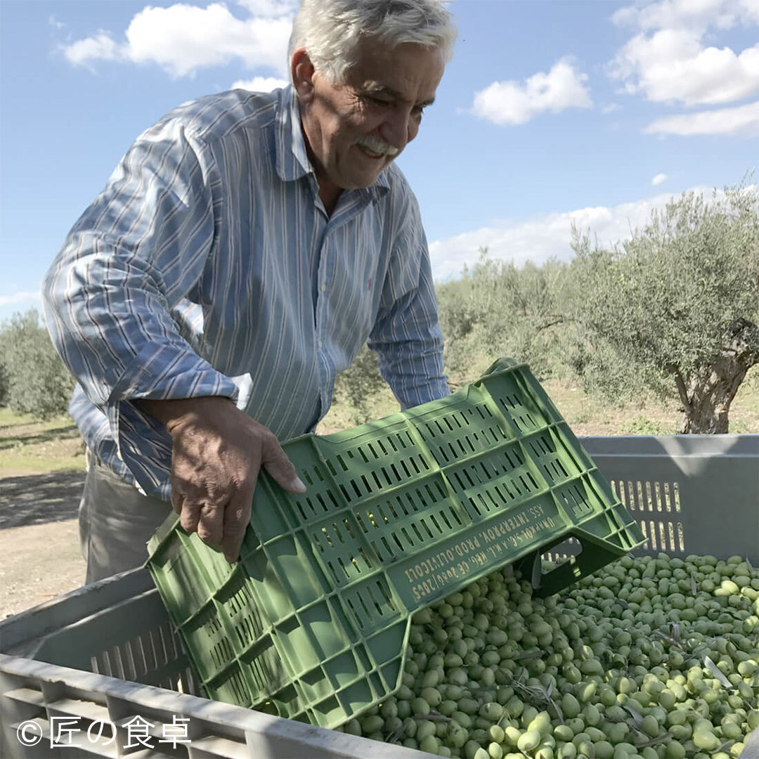 オリーバシクラ岩塩100g＆シチリア産オリーブオイルセット＜限定販売＞
