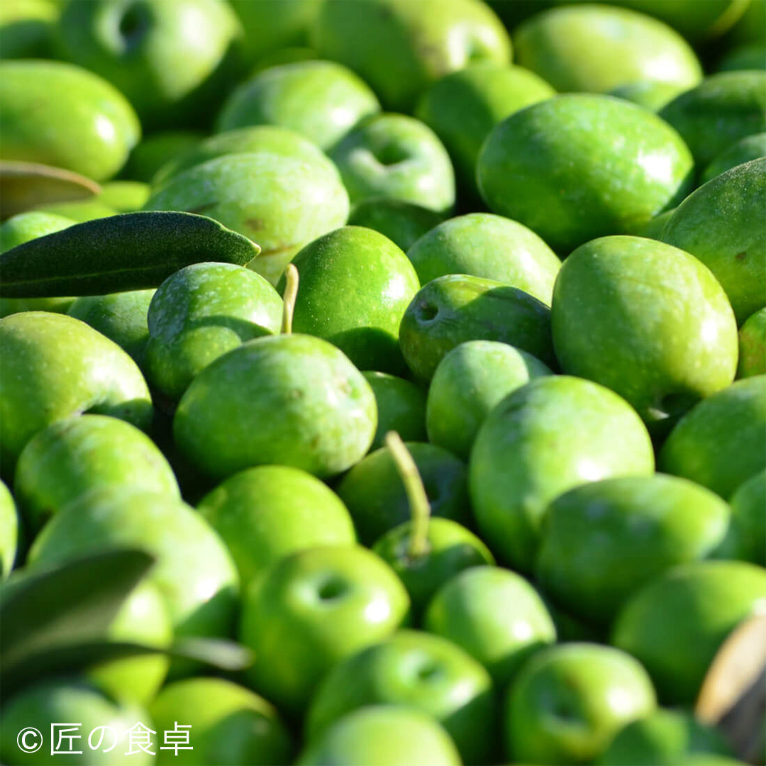 オリーバシクラ岩塩100g＆シチリア産オリーブオイルセット＜限定販売＞