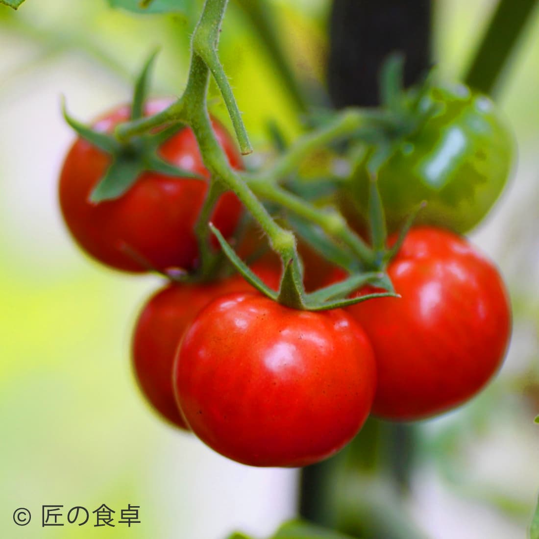 【100%有機配合】【送料込み】家庭用園芸肥料（150g）