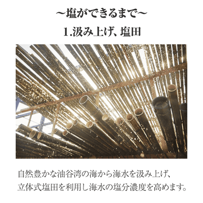 日本酒に合う塩10g 食べ比べ2種ギフトセット