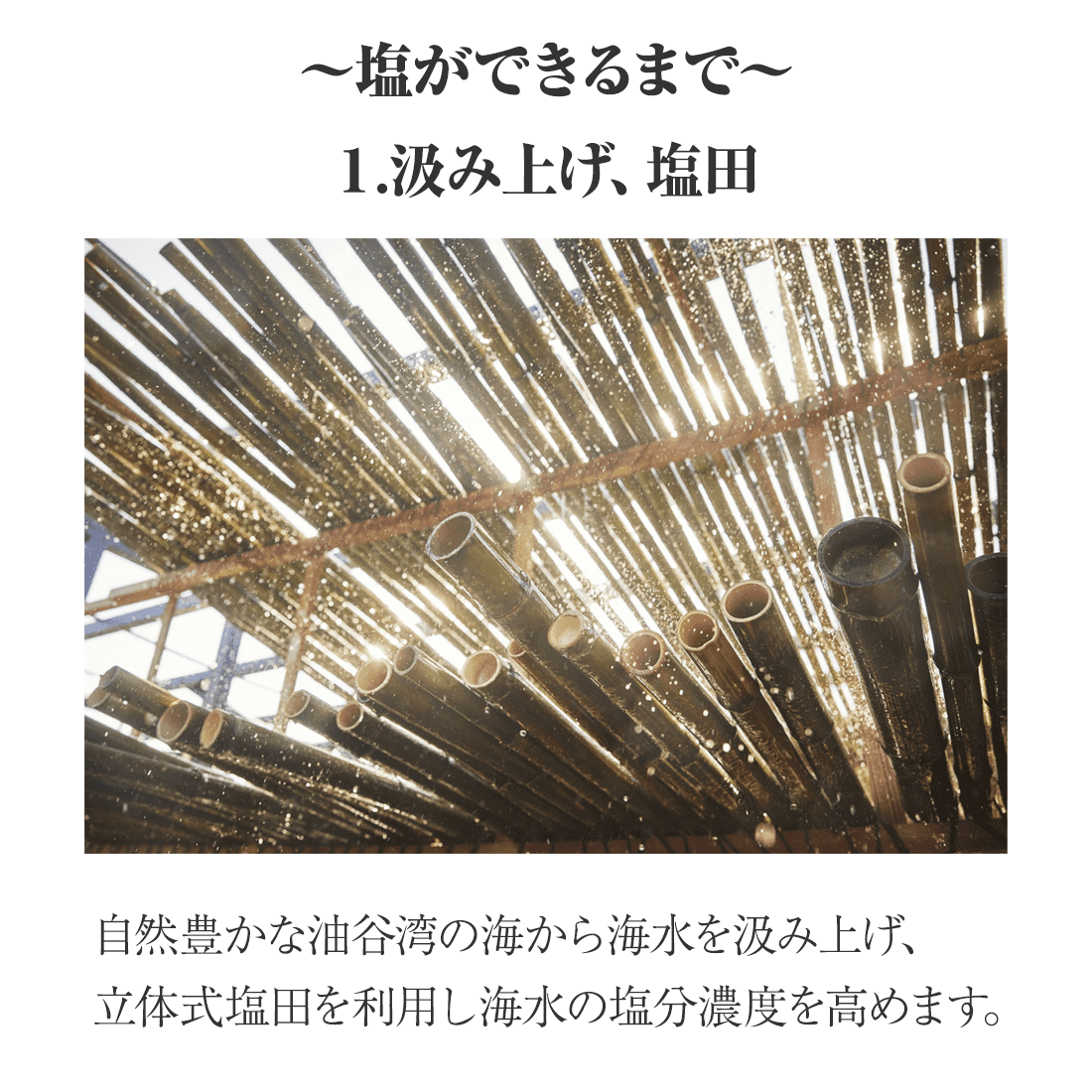 海の塩50g 食べ比べ4種ギフトセット｜匠の食卓公式販売サイト