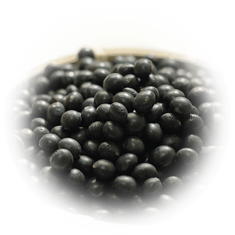 黒豆（ソシソン抹茶のみ）