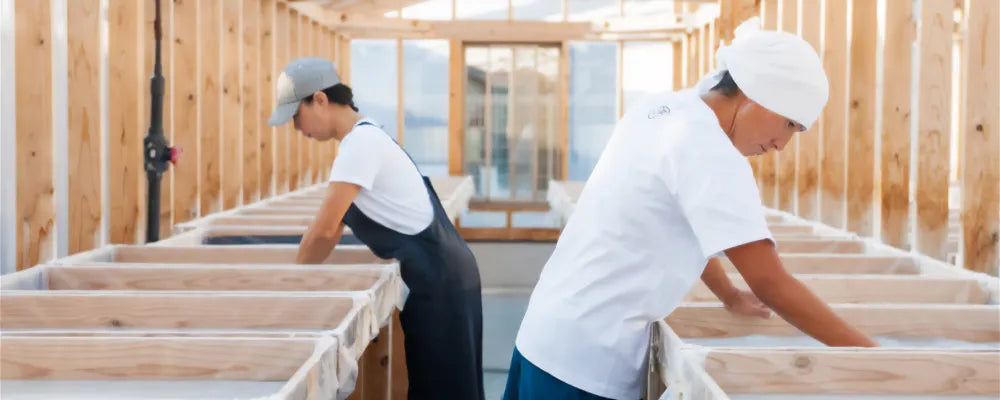 匠達の紹介／青蜂・白鯆